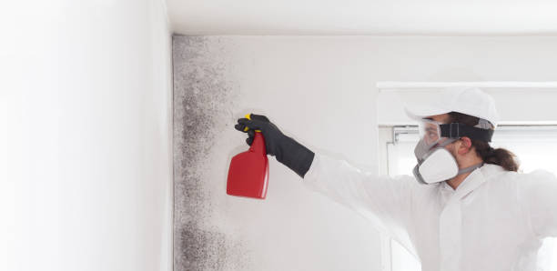 Best Mold Cleaning Services  in Sam Rayburn, TX