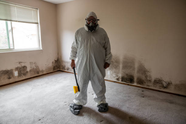 Best Mold Removal Process  in Sam Rayburn, TX