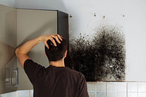 Best Office Mold Removal Services  in Sam Rayburn, TX